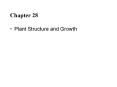 Plant Structure and Growth PowerPoint PPT Presentation