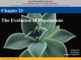 The Evolution of Populations PowerPoint PPT Presentation