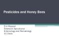 Pesticides and Honey Bees PowerPoint PPT Presentation