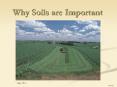 Why Soils are Important PowerPoint PPT Presentation