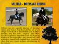 VALITAR - DRESSAGE RIDING PowerPoint PPT Presentation
