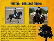 VALITAR - DRESSAGE RIDING