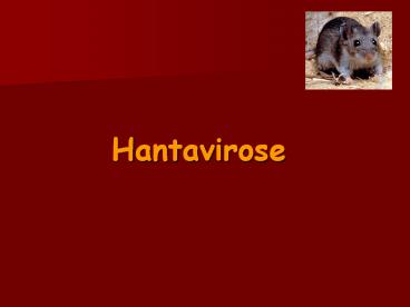 Hantavirose
