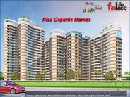 Rise Organic Homes