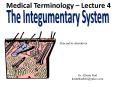 Integumentary System PowerPoint PPT Presentation
