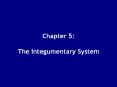 Chapter 5:  The Integumentary System PowerPoint PPT Presentation