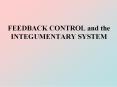 FEEDBACK CONTROL and the INTEGUMENTARY SYSTEM PowerPoint PPT Presentation
