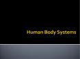 Human Body Systems PowerPoint PPT Presentation