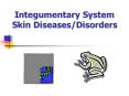 Integumentary System Skin Diseases/Disorders PowerPoint PPT Presentation
