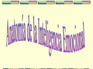 Presentaci