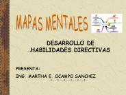 DESARROLLO DE HABILIDADES DIRECTIVAS