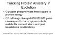 Tracking Protein Allostery in Evolution PowerPoint PPT Presentation