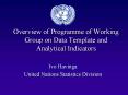 Overview of Programme of Working Group on Data Template and Analytical Indicators PowerPoint PPT Presentation
