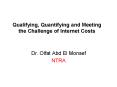 Qualifying, Quantifying and Meeting the Challenge of Internet Costs PowerPoint PPT Presentation