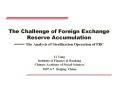 The Challenge of Foreign Exchange Reserve Accumulation  PowerPoint PPT Presentation