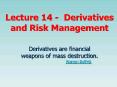 Lecture 14 - Derivatives and Risk Management PowerPoint PPT Presentation