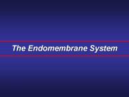 The Endomembrane System