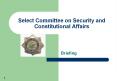 Select Committee on Security and Constitutional Affairs PowerPoint PPT Presentation