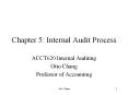 Chapter 5: Internal Audit Process PowerPoint PPT Presentation