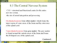 8.3 The Central Nervous System