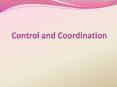 Control and Coordination PowerPoint PPT Presentation