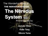The Wonderful World of