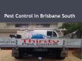 Pest Control In Brisbane South PowerPoint PPT Presentation