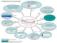 Diapositiva 1