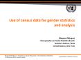 Use of census data for gender statistics and analysis PowerPoint PPT Presentation