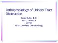 Pathophysiology of Urinary Tract Obstruction PowerPoint PPT Presentation