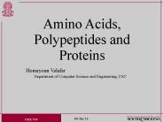 Amino Acids, Polypeptides and Proteins