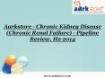 Aarkstore - Chronic Kidney Disease (Chronic Renal Failure) - Pipeline Review, H2 2014 PowerPoint PPT Presentation