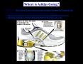 Where is Adidas Going? PowerPoint PPT Presentation