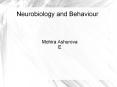 Neurobiology and Behaviour PowerPoint PPT Presentation