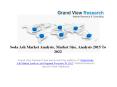 Soda Ash Market Research Report To 2022: Grand View Research, Inc. PowerPoint PPT Presentation