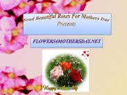Send Beautiful roses for mothers day