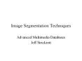Image Segmentation Techniques PowerPoint PPT Presentation