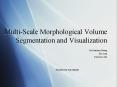 Multi-Scale Morphological Volume Segmentation and Visualization PowerPoint PPT Presentation