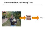 Face detection and recognition