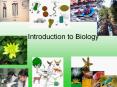Introduction%20to%20Biology PowerPoint PPT Presentation