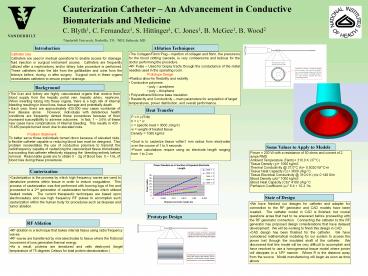 Cauterization Catheter 