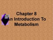 Chapter 8        An Introduction To Metabolism