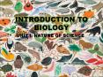 INTRODUCTION TO BIOLOGY PowerPoint PPT Presentation