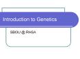 Introduction to Genetics PowerPoint PPT Presentation