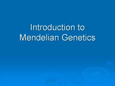 presentation player overlay