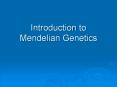 Introduction%20to%20Mendelian%20Genetics PowerPoint PPT Presentation