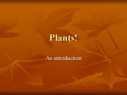 Plants!