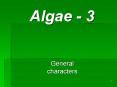 Algae - 3 PowerPoint PPT Presentation