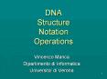 DNA Structure Notation Operations PowerPoint PPT Presentation