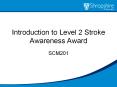 Introduction to Level 2 Stroke Awareness Award PowerPoint PPT Presentation
